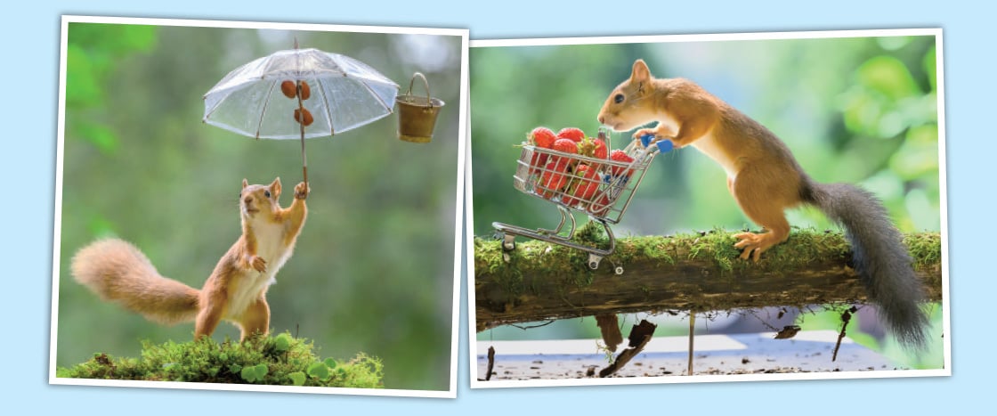 Two squirrels posed with props: one holds a tiny umbrella, one pushes a miniature cart of strawberries